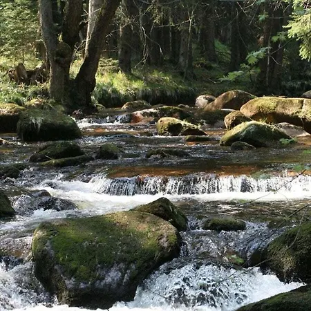 Mountain Forest Comfort 4 Сasa de vacaciones *