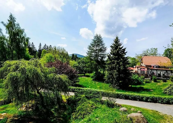 Mountain Forest Comfort 4