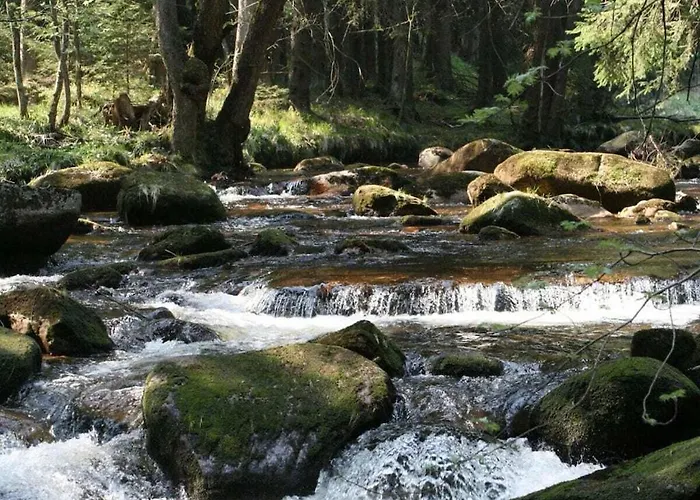 Mountain Forest Comfort 4 Ferienhaus *