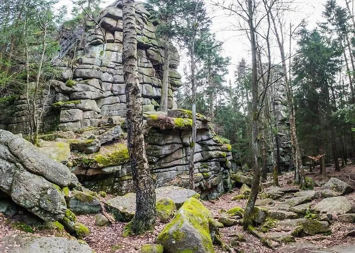 Ferienhaus Mountain Forest Comfort 4